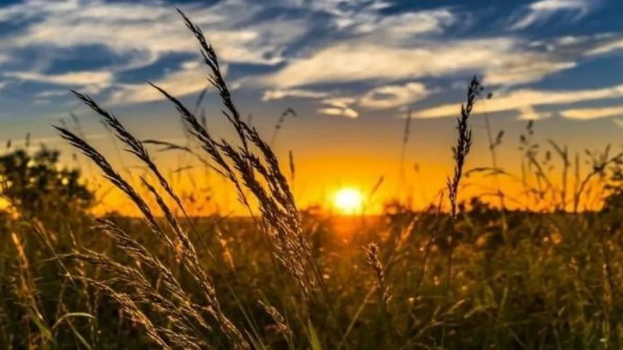 ارتفاع درجات الحرارة مع احتمالات ضعيفة لحدوث هطول أمطار في مختلف المناطق